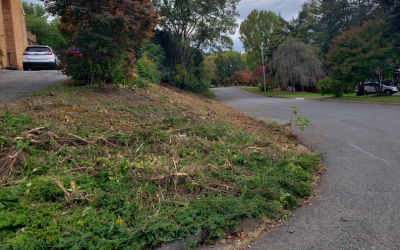 The same site after clearing — steep bank brought back to mowable