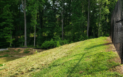 The same site after clearing — overgrown slope cleared to grade