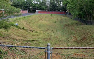 The same slope after clearing and mulching