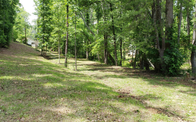 The same site after clearing — years of growth cleared in one visit