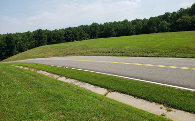 The same slope after clearing and mulching