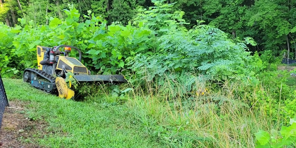 Specialized Mowing | Hillside Mowing